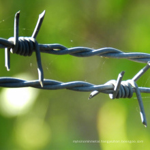 Best price pvc hot dipped galvanized high security double strand barbed wire galvanized fencing